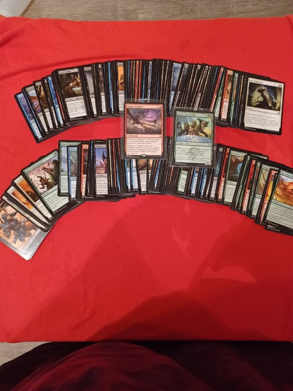 Magic The gathering- Lot Of 200+ Bulk Mtg Card